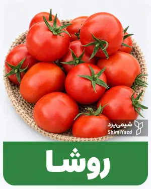 بذر گوجه‌فرنگی روشا شیمی یزد