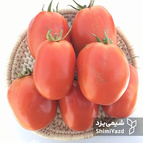 بذر گوجه فرنگی سهند